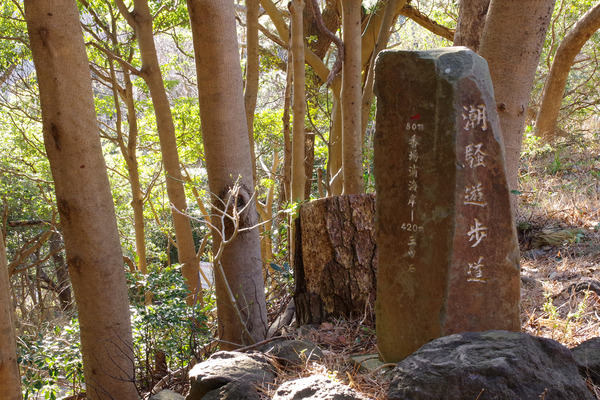 IMGP0105.JPG