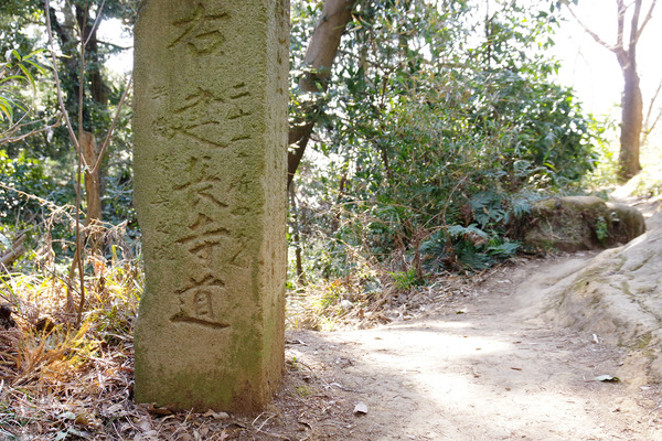 IMGP9583.JPG
