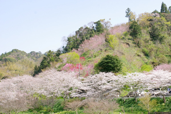 IMGP0305.JPG