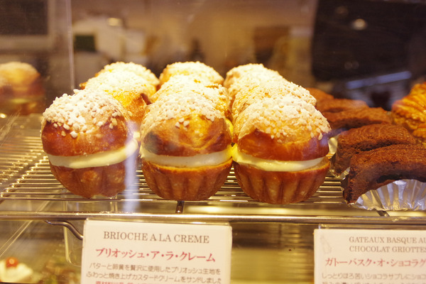 IMGP0489.JPG