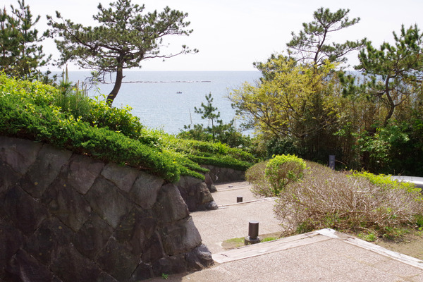 IMGP0604.JPG