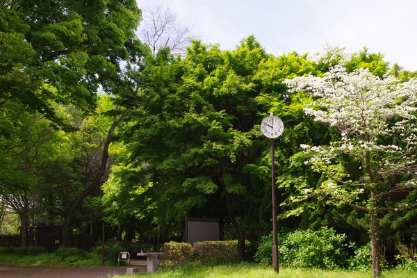 IMGP0760.JPG