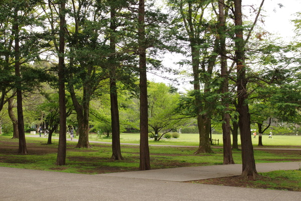 IMGP0843.JPG