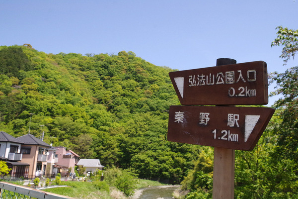 IMGP0906.JPG