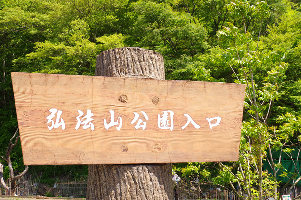 IMGP0909.JPG