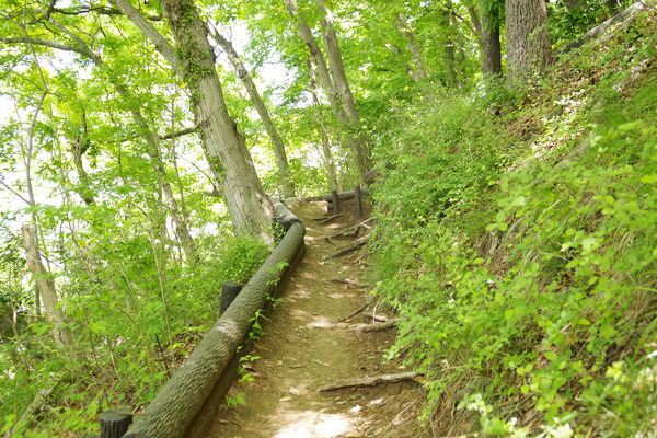 IMGP0917.JPG