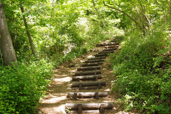 IMGP0919.JPG