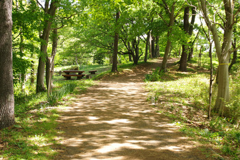 【春ハイク】弘法山公園で低山ハイク