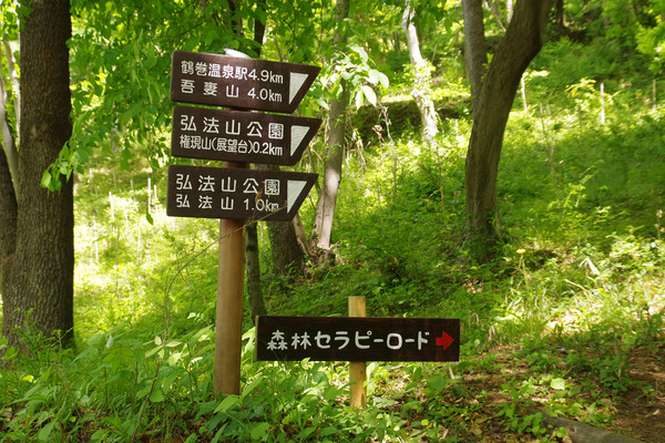 IMGP0932.JPG