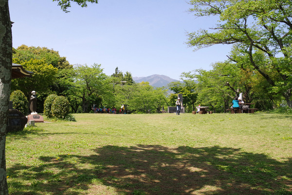 IMGP0941.JPG