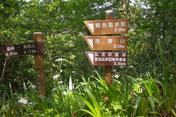 IMGP0961.JPG