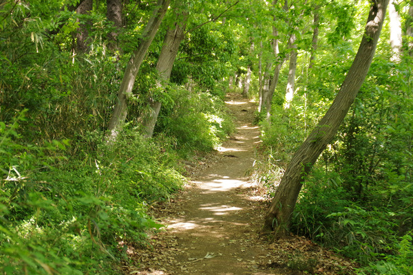 IMGP1034.JPG