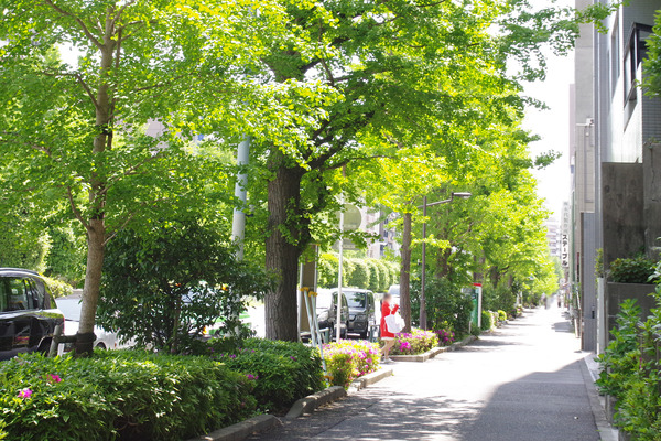 IMGP0854.JPG