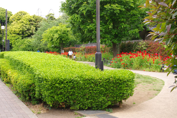 IMGP1220.JPG
