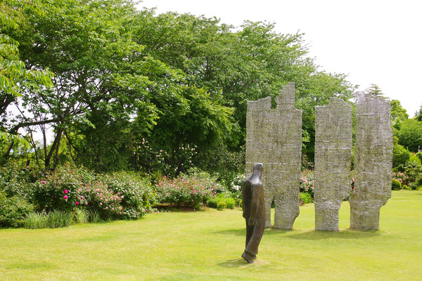 IMGP1456.JPG