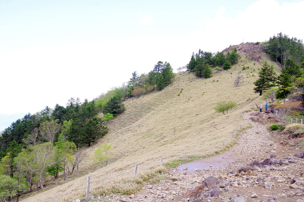IMGP1720.JPG
