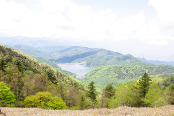 【初夏ハイク】大菩薩嶺での山歩き