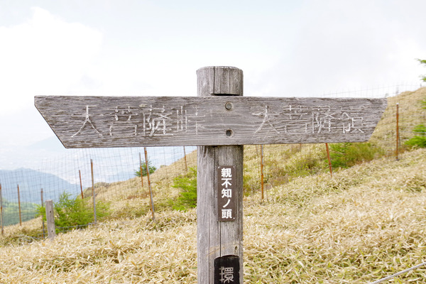 IMGP1763.JPG