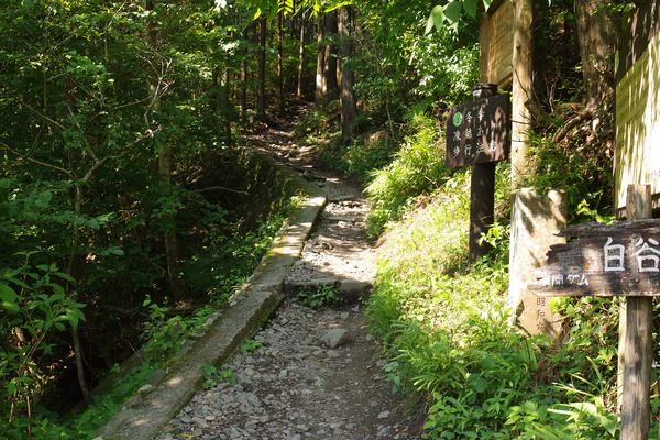 IMGP1933.JPG