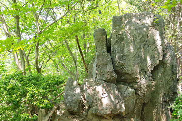 IMGP2142.JPG