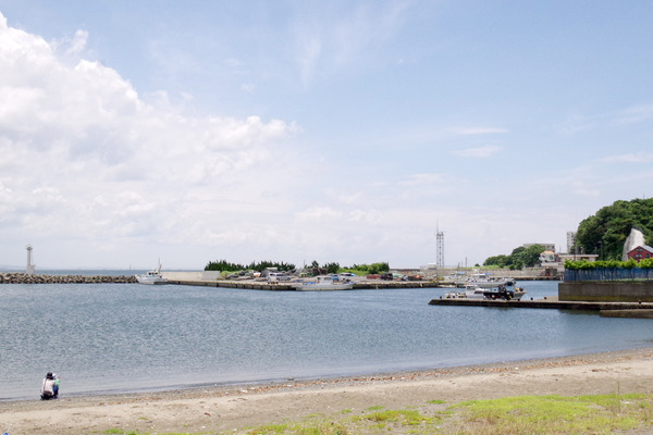 IMGP2310.JPG