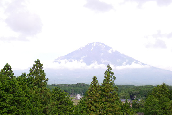 IMGP2462.JPG
