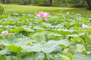 【ART】川村記念美術館／Wrap,Pack,Stack 展