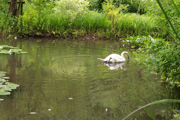 IMGP2626.JPG