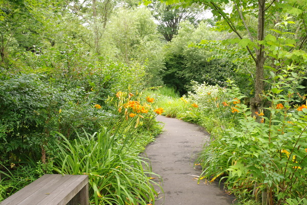 IMGP2640.JPG