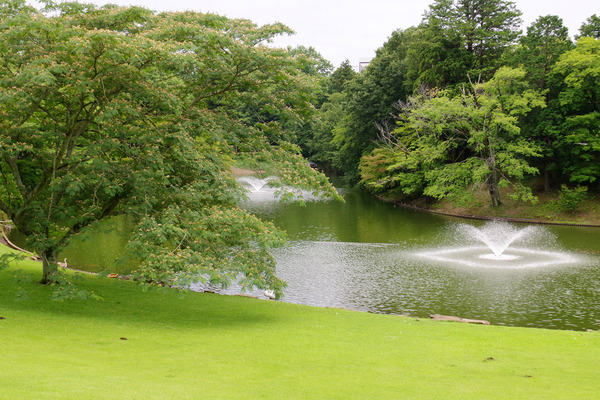 IMGP2654.JPG