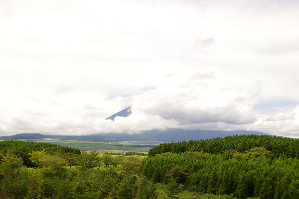 IMGP3203.JPG