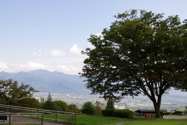 IMGP3538.JPG
