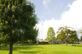 【TAKE  OUT】osajiのカレー と 高台のパフェ