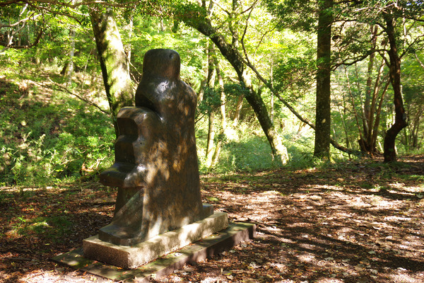 IMGP3953.JPG