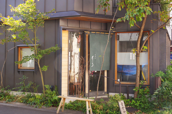 IMGP4596.JPG