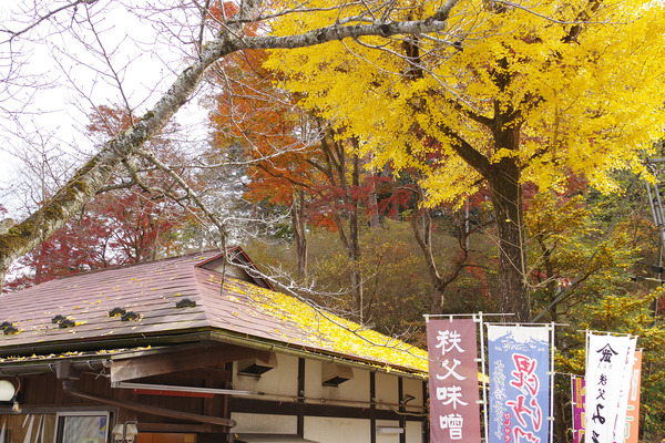 IMGP4629.JPG