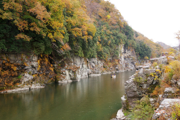 IMGP4644.JPG