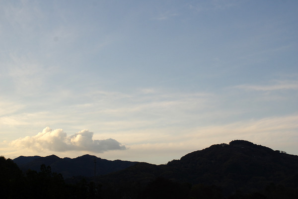 IMGP4774.JPG