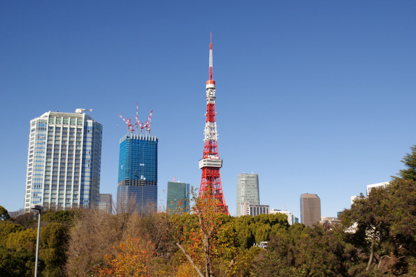 IMGP6142.JPG