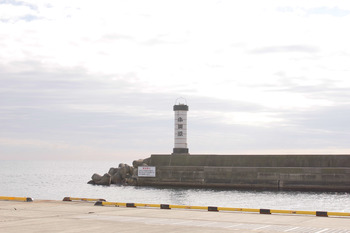 【LUNCH】おさかな食堂 大原
