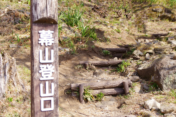 IMGP6993.JPG