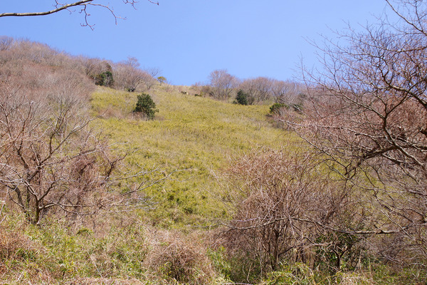 IMGP7070.JPG