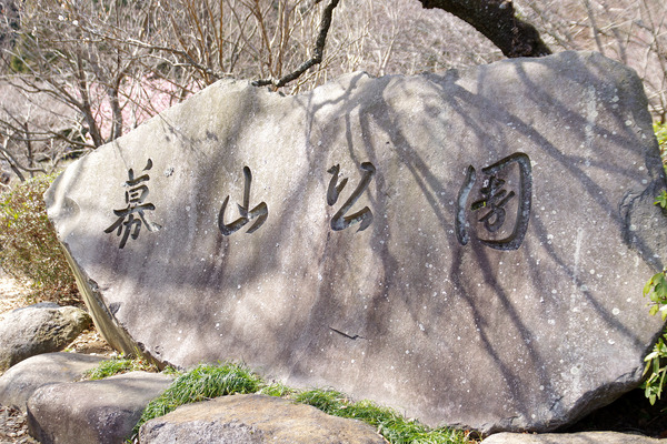 IMGP7137.JPG