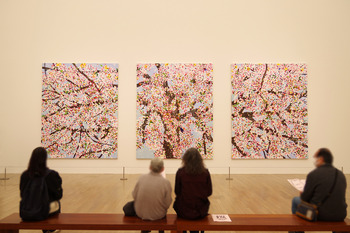 【ART】国立新美術館 / ダミアン・ハースト CHERRY BLOSSOMS