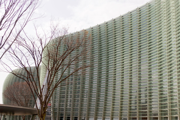 IMGP7214.JPG