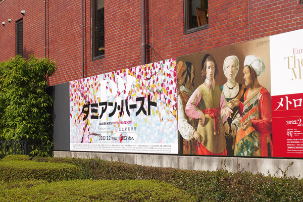 IMGP7215.JPG