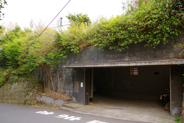 IMGP7683.JPG
