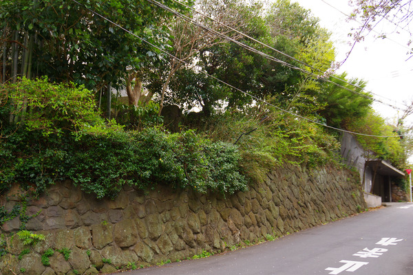 IMGP7684.JPG