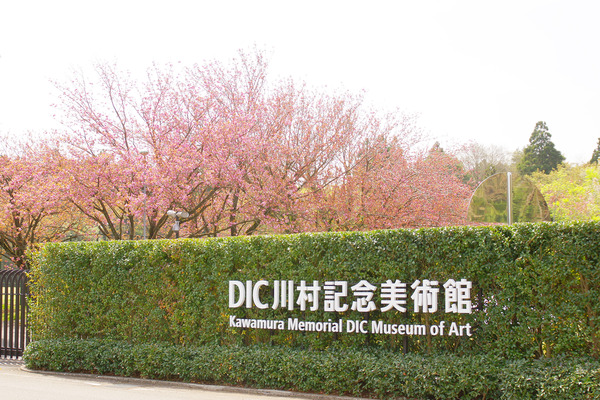 IMGP7876.JPG