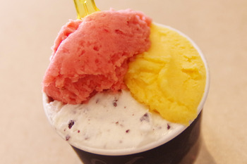 【SWEETS】Gelateria Acquolina
